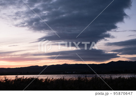 夕日に染まる宮島沼とマガンの群れ 95870647