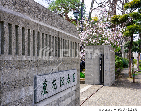 春の蘆花恒春園　徳冨蘆花旧宅（東京都世田谷区） 95871228