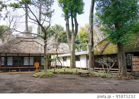 春の蘆花恒春園　徳冨蘆花旧宅（東京都世田谷区） 95871232