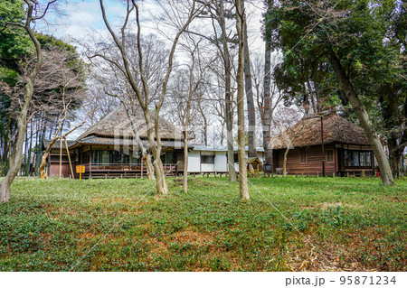 春の蘆花恒春園　徳冨蘆花旧宅（東京都世田谷区） 95871234