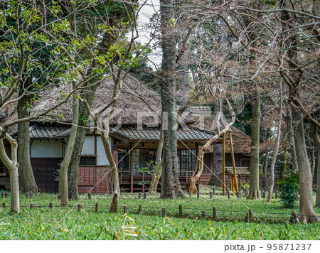 春の蘆花恒春園　徳冨蘆花旧宅（東京都世田谷区） 95871237