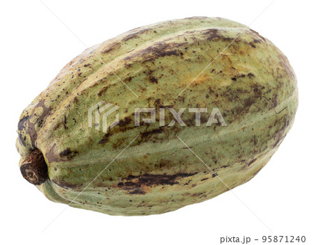 Cocoa fruit, raw Cacao beans, Cocoa pod. Fresh cocoa fruits isolated on white background 95871240
