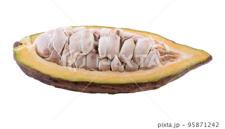 Cocoa fruit, raw Cacao beans, Cocoa pod. Fresh cocoa fruits isolated on white background 95871242
