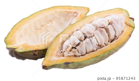 Cocoa fruit, raw Cacao beans, Cocoa pod. Fresh cocoa fruits isolated on white background 95871243