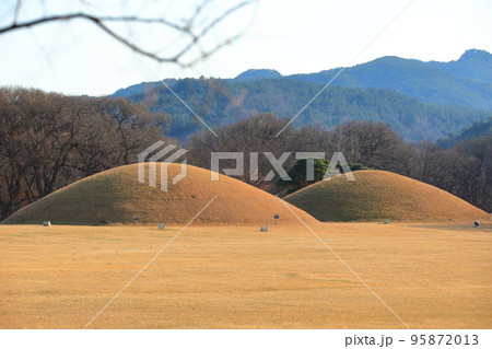 レース 距離 壁画 95872013