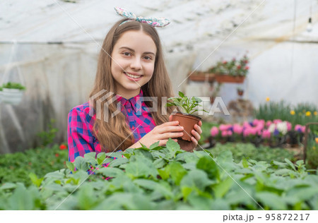 happy teen girl florist planting pot plants inの写真素材 happy teen girl florist planting pot plants inの写真素材