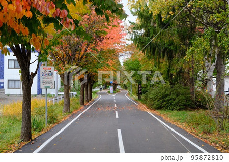 札幌の紅葉 95872810