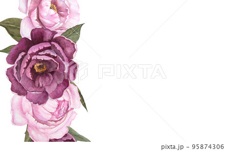 Flower watercolor illustration of peonies isolated, bouquet of flowers, vertical banner 95874306