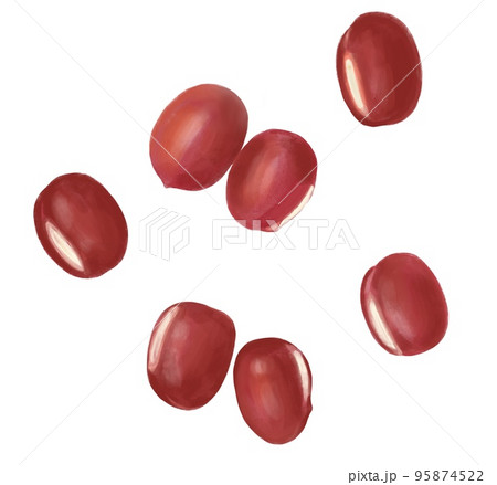 小豆のイラスト(手描き) 小豆のイラスト(手描き) 95874522