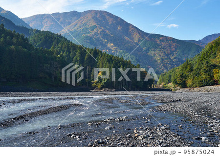 山梨県 大城川砂防ダム上流の紅葉 山梨県 大城川砂防ダム上流の紅葉 95875024