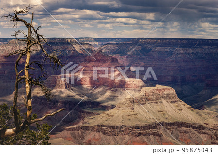 Grand Canyon south rim with single tree trunk at dramatic sky, Arizona, USA Grand Canyon south rim with single tree trunk at dramatic sky, Arizona, USA 95875043
