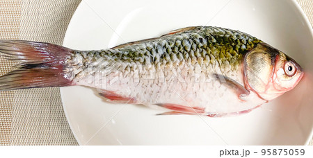 中国食材・鲫魚(フナ) 中国食材・鲫魚(フナ) 95875059