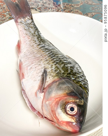 中国食材・鲫魚（フナ） 95875096
