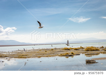 Salar de Atacama volcanic landscape and salt lake in Atacama Desert, Chile Salar de Atacama volcanic landscape and salt lake in Atacama Desert, Chile 95875970