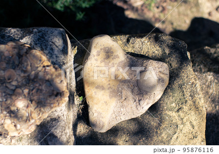 A heart-shaped stone in nature. Front view. A heart-shaped stone in nature. Front view. 95876116