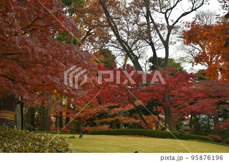 紅葉の日本庭園 紅葉の日本庭園 95876196