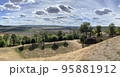 vineyards in the champagne region near Reims in France 95881912