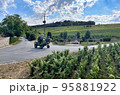 vineyards in the champagne region near Reims in France 95881922