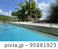 vineyards in the champagne region near Reims in France 95881923