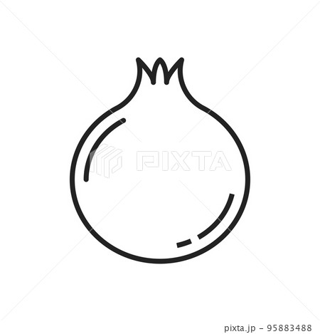 Pomegranate isolated line art fruit. Vector Rosh Hashanah symbol, Jewish New Year food 95883488