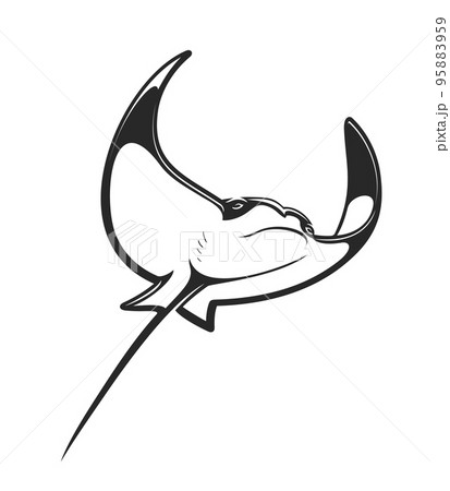 Cownose ray or stingray. Underwater animal, tropical seabed wild life and isolated ocean fish or marine deep creature, devilfish, skate or stingray, monochrome vector mantaray 95883959