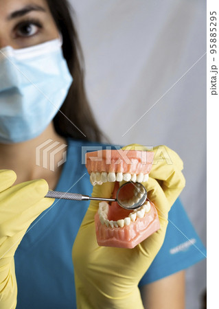 The woman dentist is holding dentures in his hands and instruments The woman dentist is holding dentures in his hands and instruments 95885295