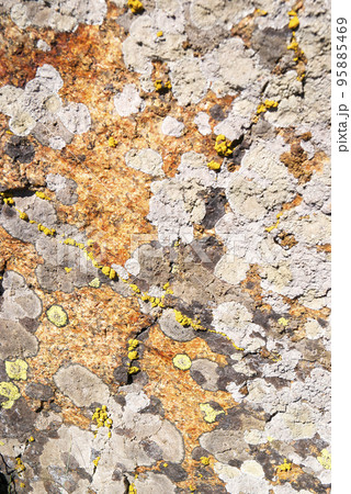 Granite mossy 95885469