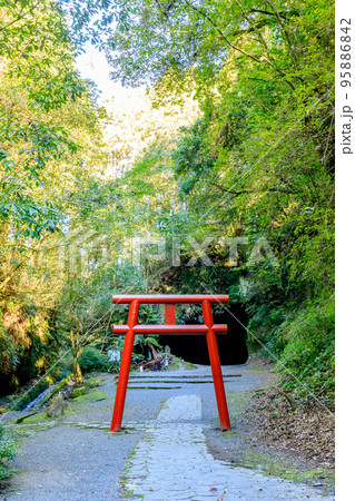 秋の溝ノ口洞穴　鹿児島県曽於市 95886842