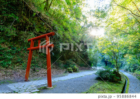 秋の溝ノ口洞穴　鹿児島県曽於市 95886844