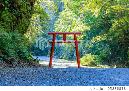 秋の溝ノ口洞穴 鹿児島県曽於市 秋の溝ノ口洞穴 鹿児島県曽於市 95886858