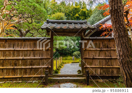 京都洛西の秋　紅葉の地蔵院（竹の寺） 95886911