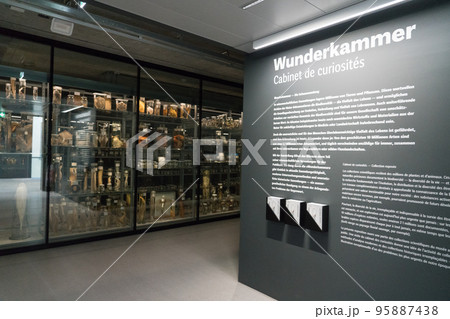 ベルン自然史博物館の展示 ベルン自然史博物館の展示 95887438