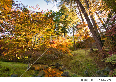 朝日を浴びた庭園の紅葉風景 朝日を浴びた庭園の紅葉風景 95887791