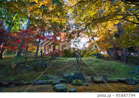 朝日を浴びた庭園の紅葉風景 朝日を浴びた庭園の紅葉風景 95887794