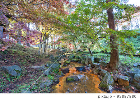 日本庭園の秋の紅葉風景 日本庭園の秋の紅葉風景 95887880