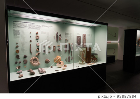 ベルン自然史博物館の展示 ベルン自然史博物館の展示 95887884