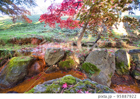 日本庭園の秋の紅葉風景 日本庭園の秋の紅葉風景 95887922