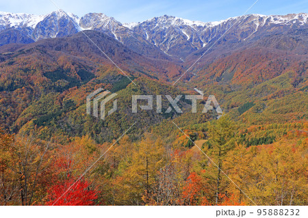 白馬岩岳マウンテンリゾートから望む秋の白馬三山 95888232