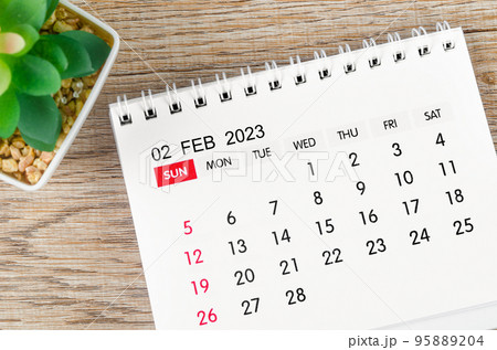 The February 2023 desk calendar for 2023 with plant pot on wooden background. 95889204