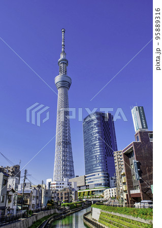 東京スカイツリー 北十間川に架かる西十間橋(にしじゅっけんばし)からの風景 東京スカイツリー 北十間川に架かる西十間橋(にしじゅっけんばし)からの風景 95889316