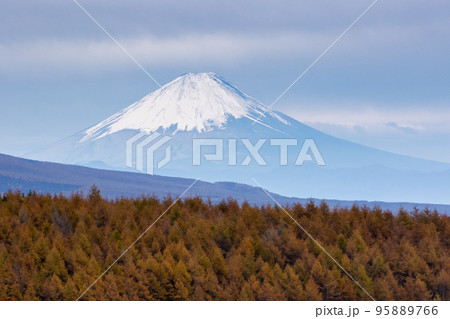 ビーナスラインから見る富士山 ビーナスラインから見る富士山 95889766