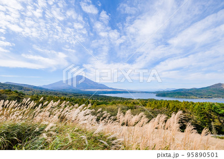山梨県南都留郡山中湖村パノラマ台からの山中湖と富士山 95890501