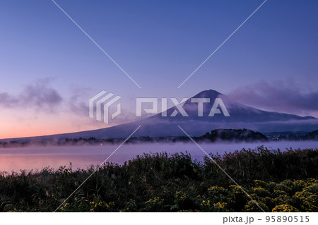 夜明け前の山梨県河口湖と富士山 95890515