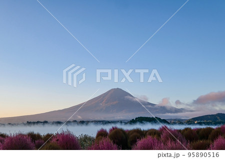 夜明け前の山梨県河口湖と富士山 95890516