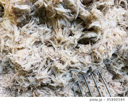 塩辛 食べ物 フード 95890584