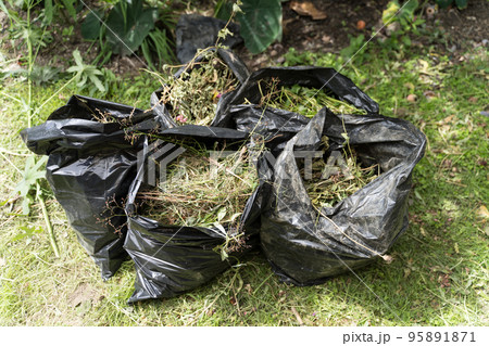 刈った草を積めたゴミ袋 95891871