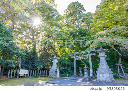 塩釜神社　鳥居　しめ縄　石灯籠 95893096