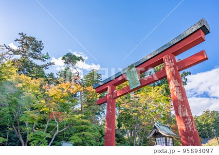 塩釜神社　志波彦神社　鳥居　秋　紅葉 95893097