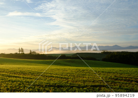 朝日と朝霧の美瑛の朝 朝日と朝霧の美瑛の朝 95894219
