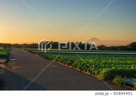 初声町の農道　夕暮れの田舎道　富士山 95894401
